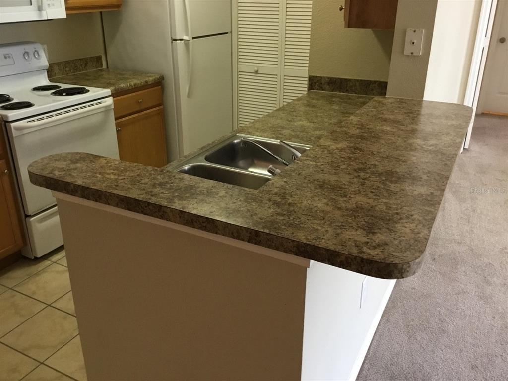 5550 East Michigan Street, Unit 3232 Orlando, FL 32822 - Photo 10 of 21 a view of a kitchen counter space