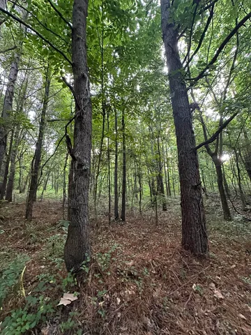 a view of outdoor space and trees