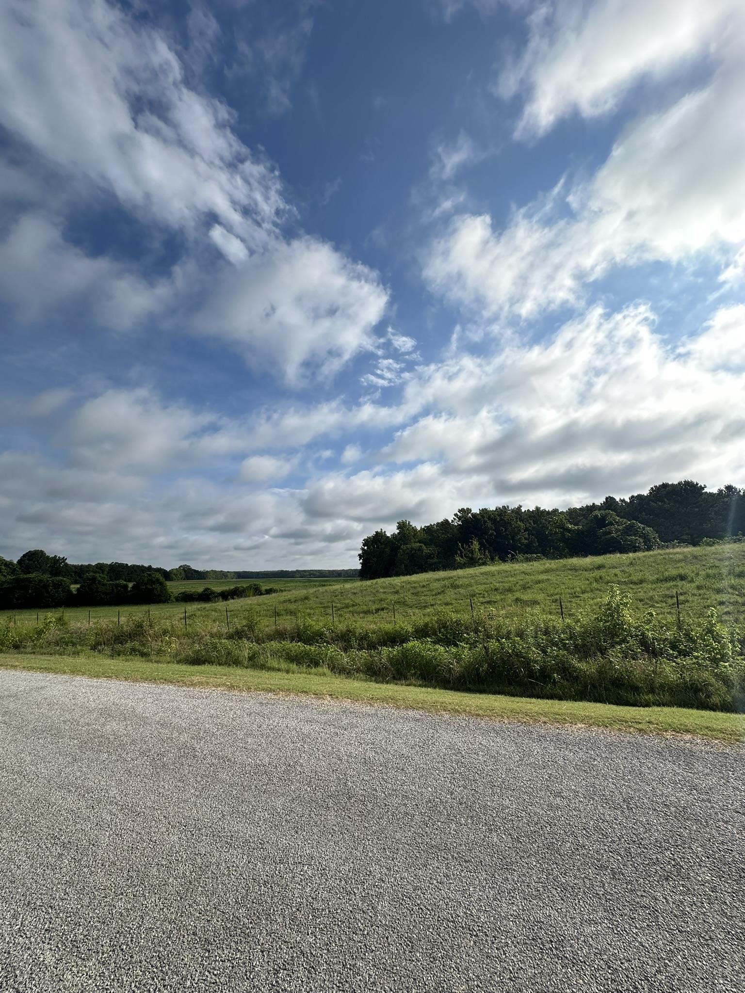 1 Moore Road Holly Springs, MS 38635 - Photo 6 of 7 a view of a big yard with a houses