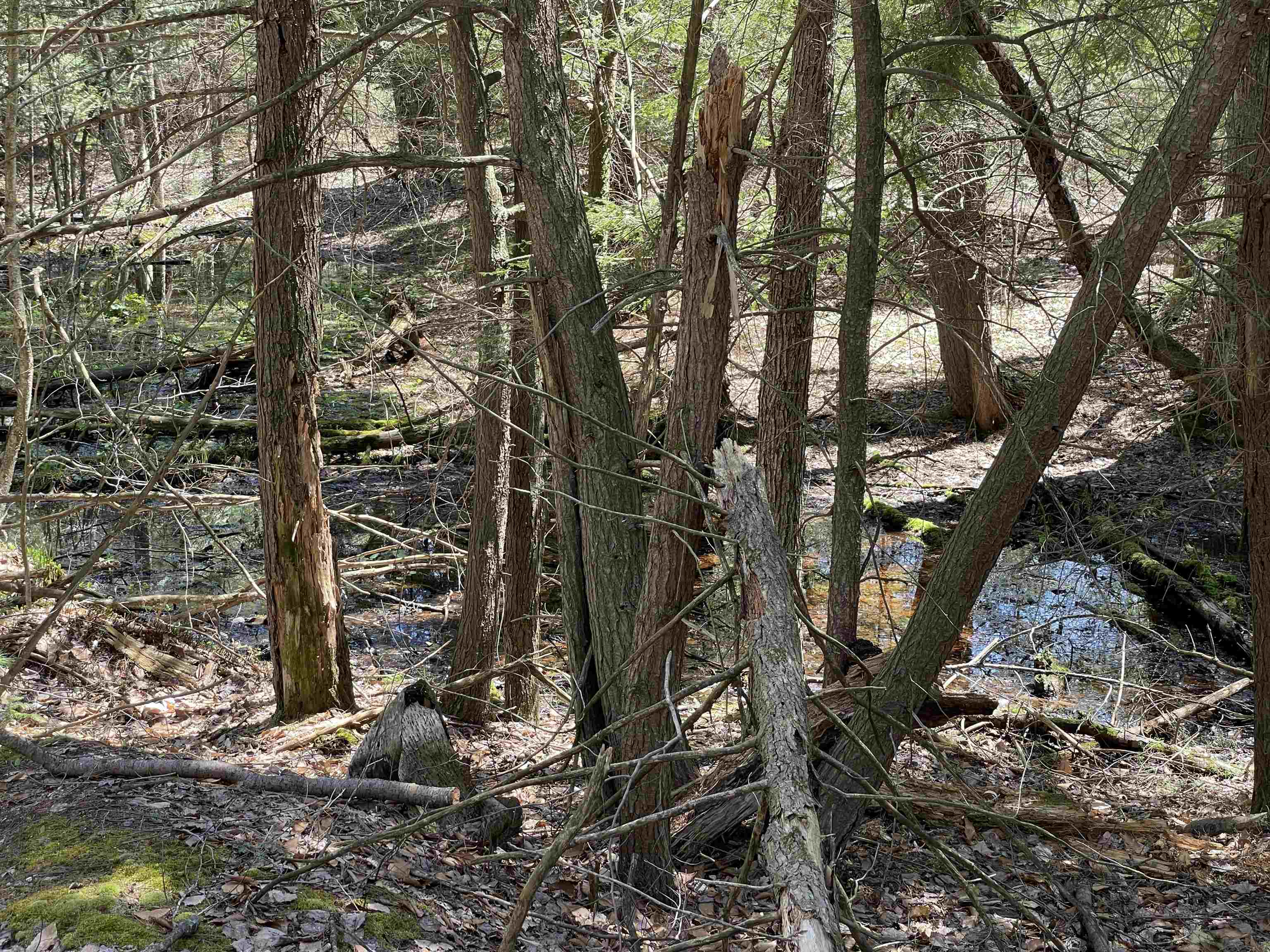 0 East 38 Road Cadillac, MI 49601 - Photo 25 of 39