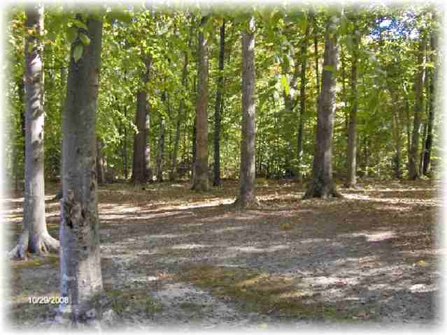 402 Pryor Road Taylors, SC 29687 - Photo 18 of 19 Gallery Image 18