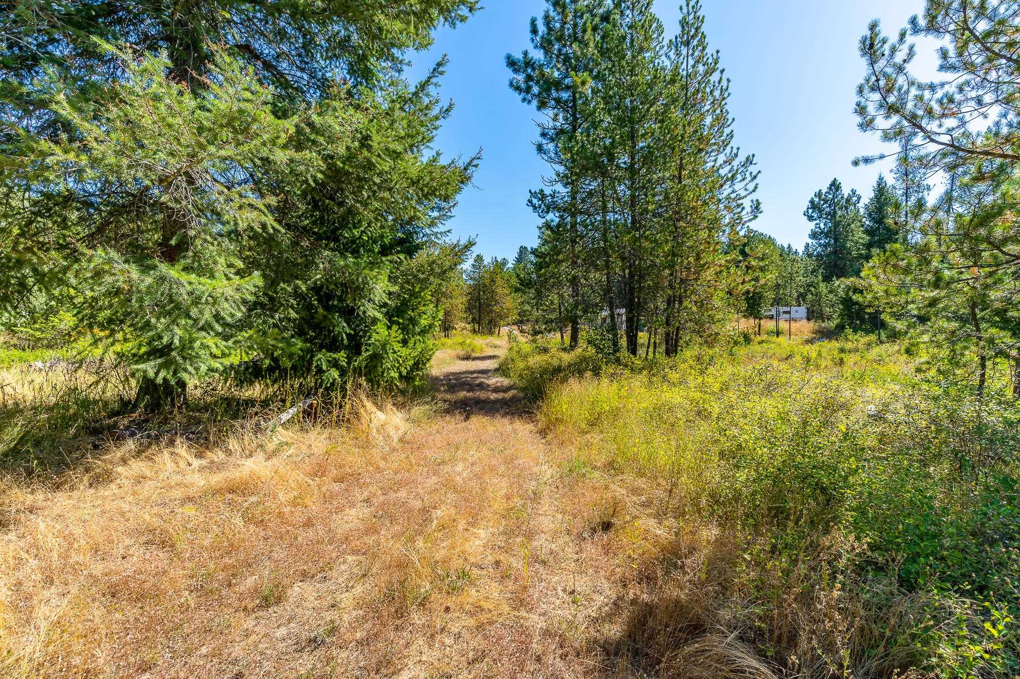 1059 Scotia Road Newport, WA 99156 - Photo 7 of 22