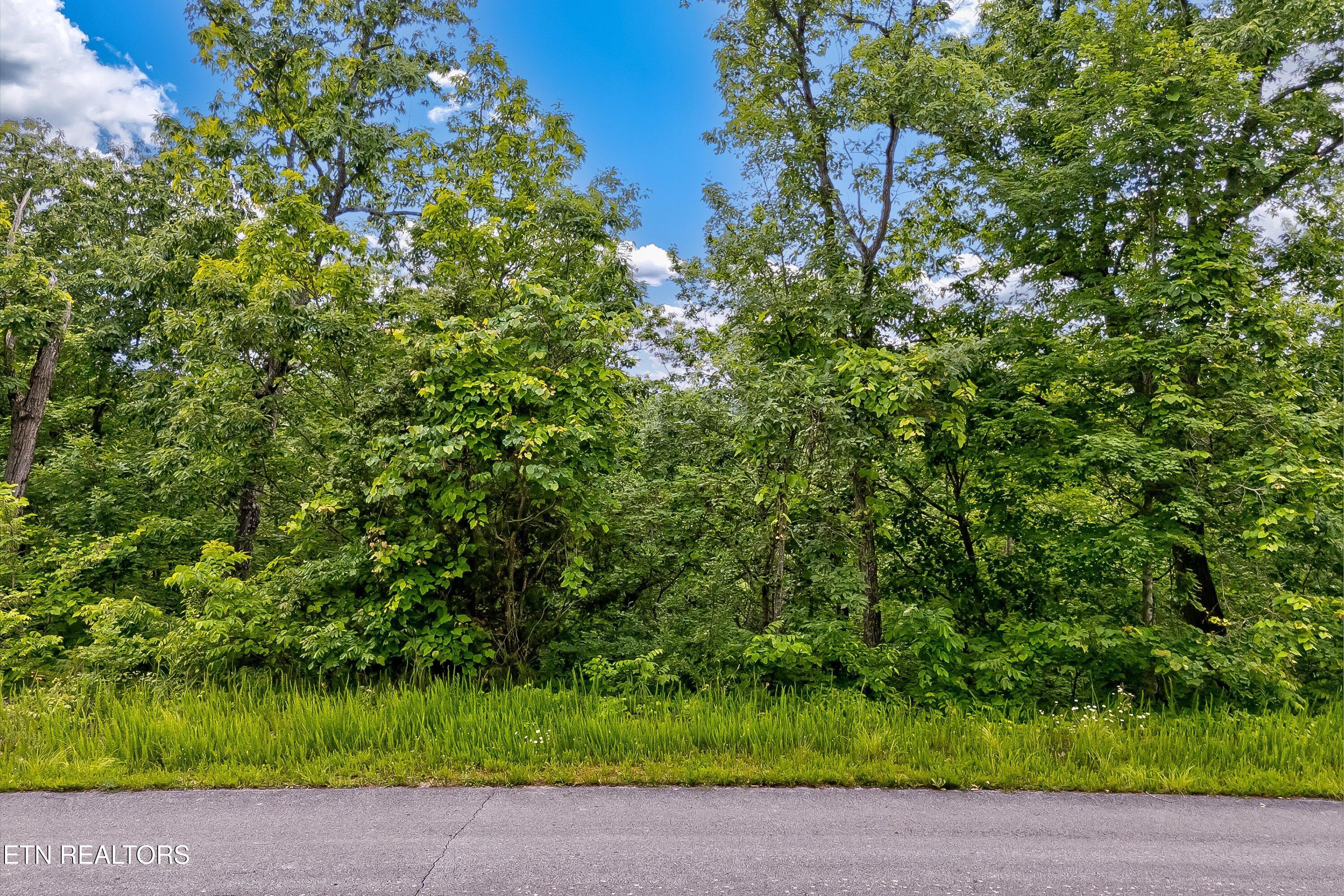 Tranquility Trail Dandridge, TN 37725 - Photo 2 of 26 47-Tranquility Trail Add-8