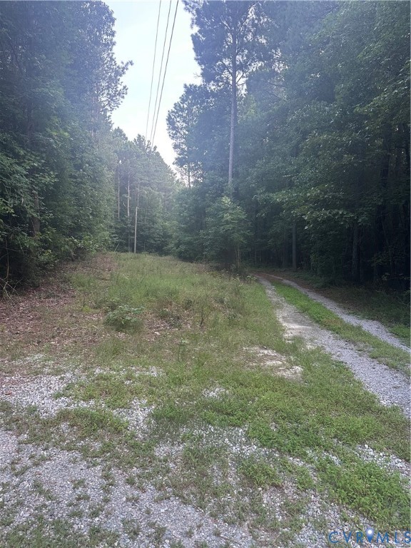 0 Loco School Road Stony Creek, VA 23882 - Photo 2 of 9 a view of a yard