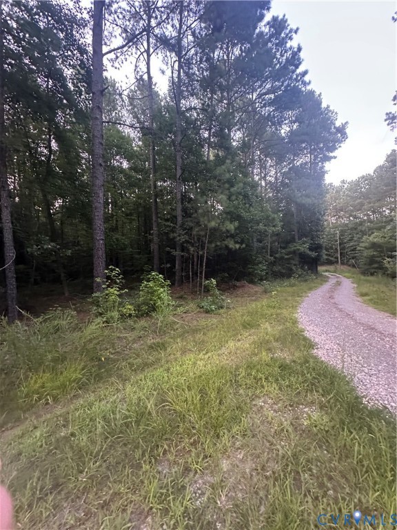 0 Loco School Road Stony Creek, VA 23882 - Photo 3 of 9 a view of outdoor space and garden