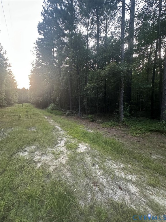 0 Loco School Road Stony Creek, VA 23882 - Photo 6 of 9 a view of an outdoor space and yard