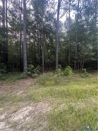 a view of backyard with green space