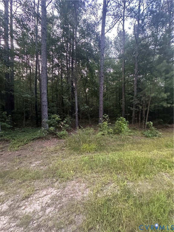 0 Loco School Road Stony Creek, VA 23882 - Photo 7 of 9 a backyard of a house with lots of green space