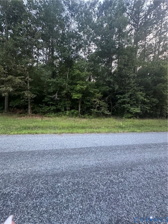 0 Loco School Road Stony Creek, VA 23882 - Photo 8 of 9 a backyard of a house