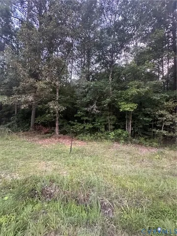 $65,000 | 0 Loco School Road, Stony Creek, VA 23882