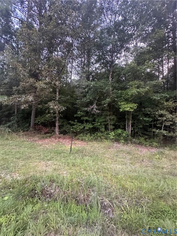 0 Loco School Road Stony Creek, VA 23882 - Photo 9 of 9 a view of backyard with green space