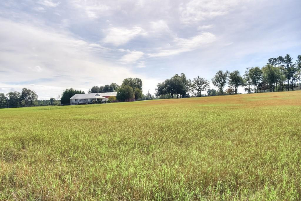 492 Black River Road Barnwell, SC 29812 - Photo 4 of 58 Gallery Image 4
