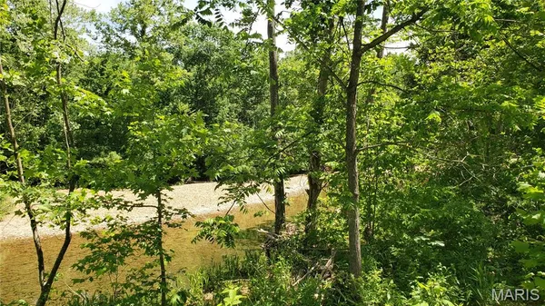 $895,000 | 352 Madison Wayne 9305, Marquand, MO 63655