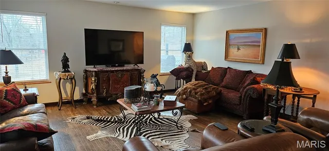 $895,000 | 352 Madison Wayne 9305, Marquand, MO 63655