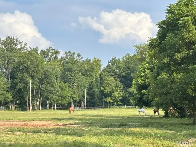 $895,000 | 352 Madison Wayne 9305, Marquand, MO 63655