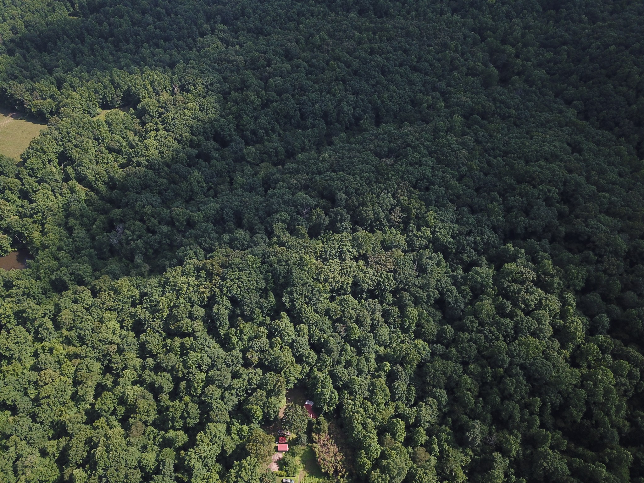 0 Norton Branch Road Beechgrove, TN 37018 - Photo 22 of 36 Gallery Image 22