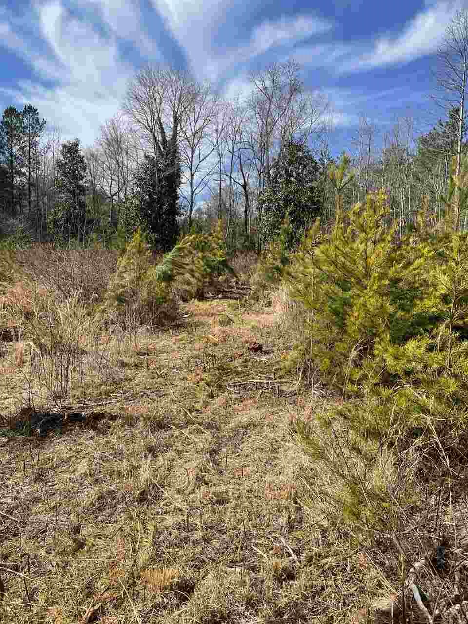 Lot 1 Keeler Bridge Road Travelers Rest, SC 29690 - Photo 11 of 19 Gallery Image 11
