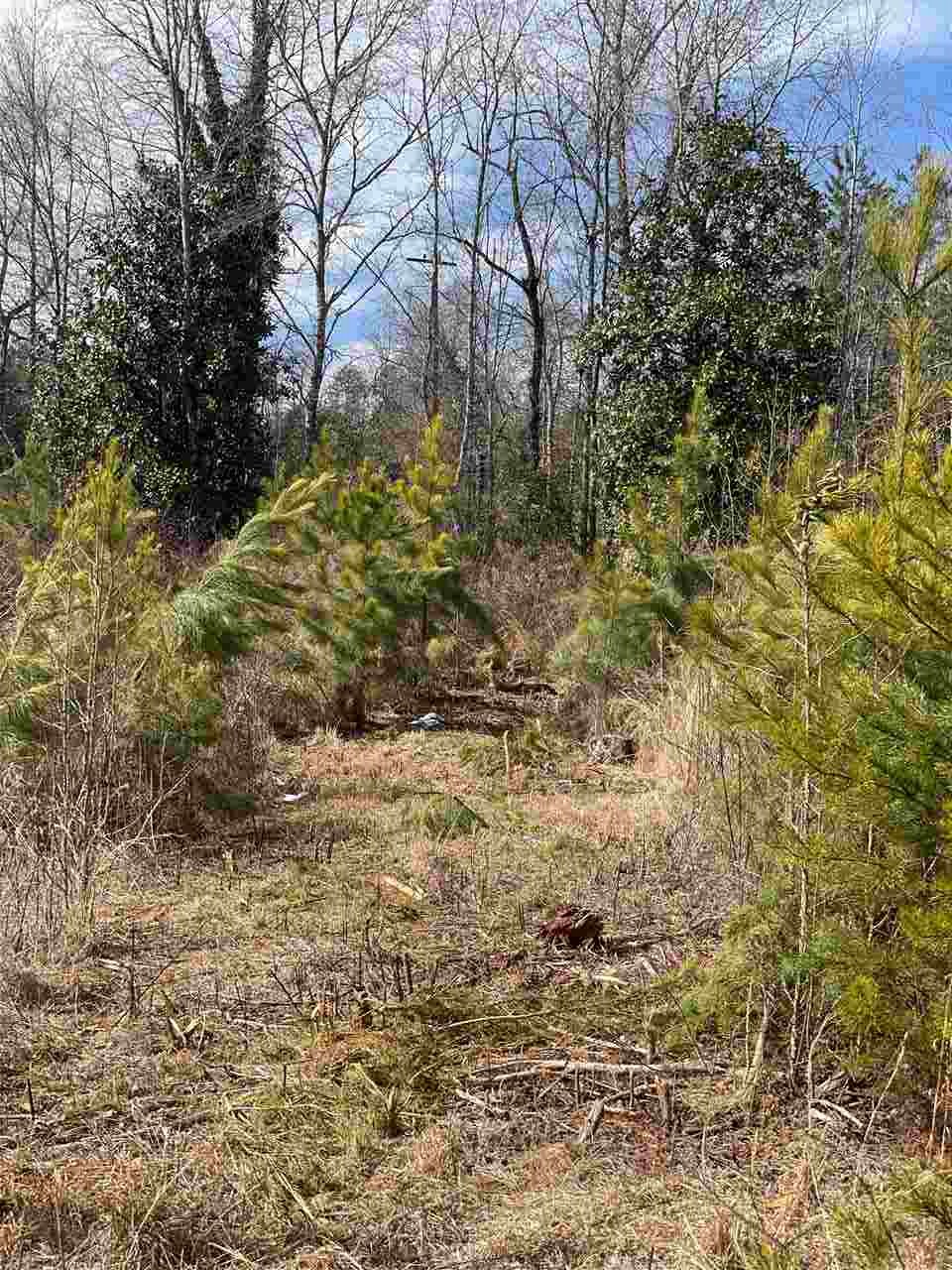 Lot 1 Keeler Bridge Road Travelers Rest, SC 29690 - Photo 12 of 19 Gallery Image 12