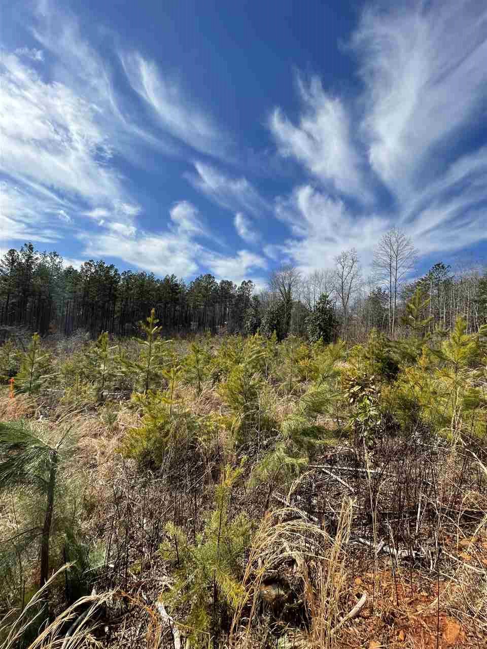 Lot 1 Keeler Bridge Road Travelers Rest, SC 29690 - Photo 13 of 19 Gallery Image 13