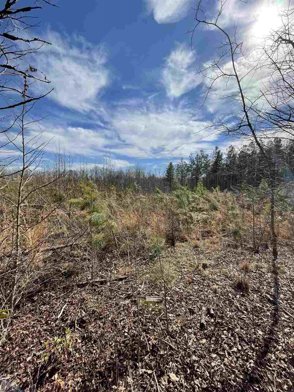 Lot 1 Keeler Bridge Road Travelers Rest, SC 29690 - Photo 14 of 19 Gallery Image 14