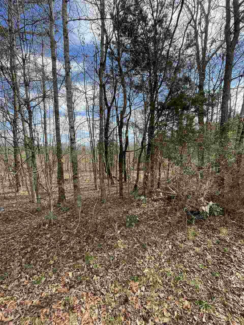 Lot 1 Keeler Bridge Road Travelers Rest, SC 29690 - Photo 15 of 19 Gallery Image 15