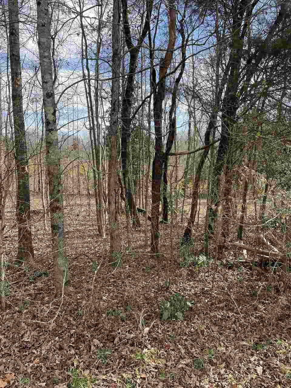 Lot 1 Keeler Bridge Road Travelers Rest, SC 29690 - Photo 16 of 19 Gallery Image 16