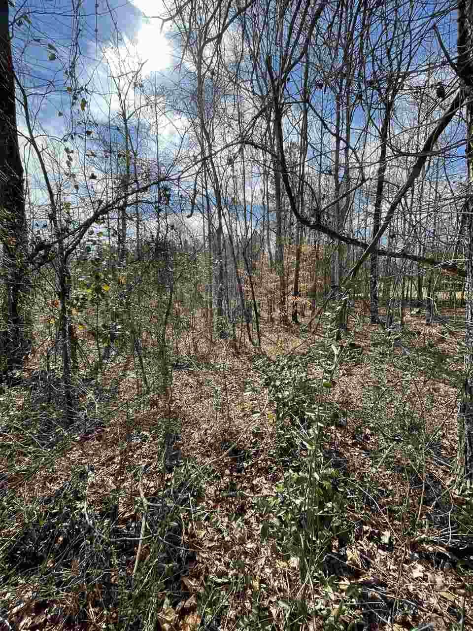 Lot 1 Keeler Bridge Road Travelers Rest, SC 29690 - Photo 18 of 19 Gallery Image 18