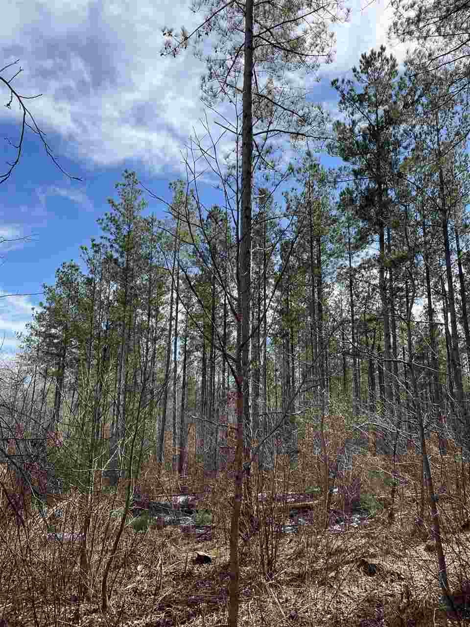 Lot 1 Keeler Bridge Road Travelers Rest, SC 29690 - Photo 10 of 19 Gallery Image 10
