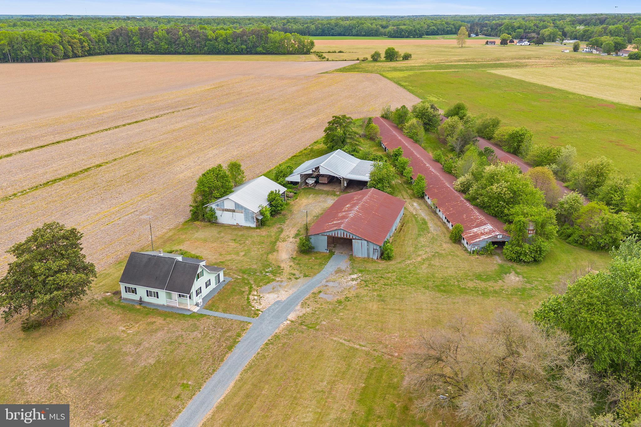25699 Auction Road Federalsburg, MD 21632 - Photo 2 of 46