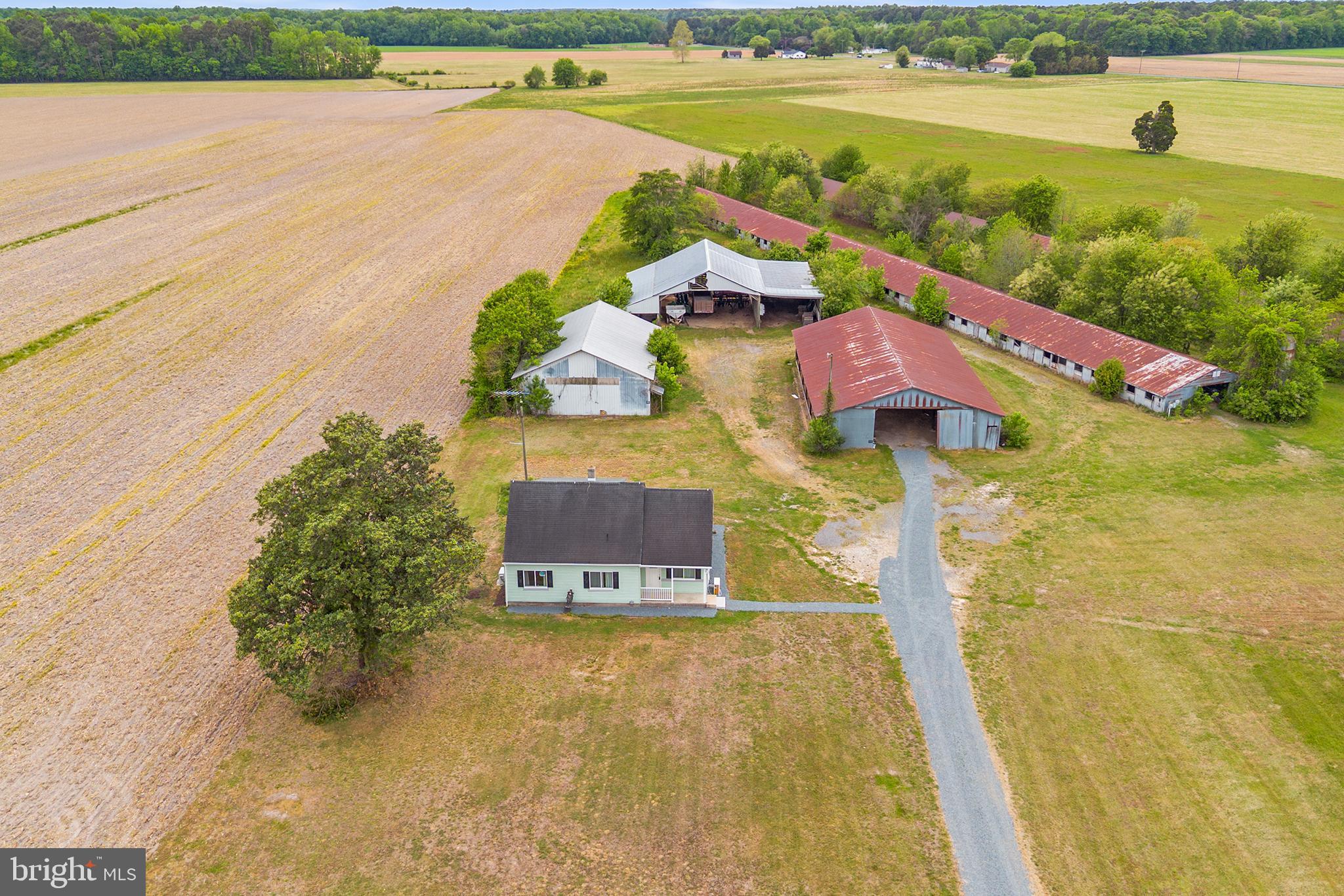 25699 Auction Road Federalsburg, MD 21632 - Photo 36 of 46