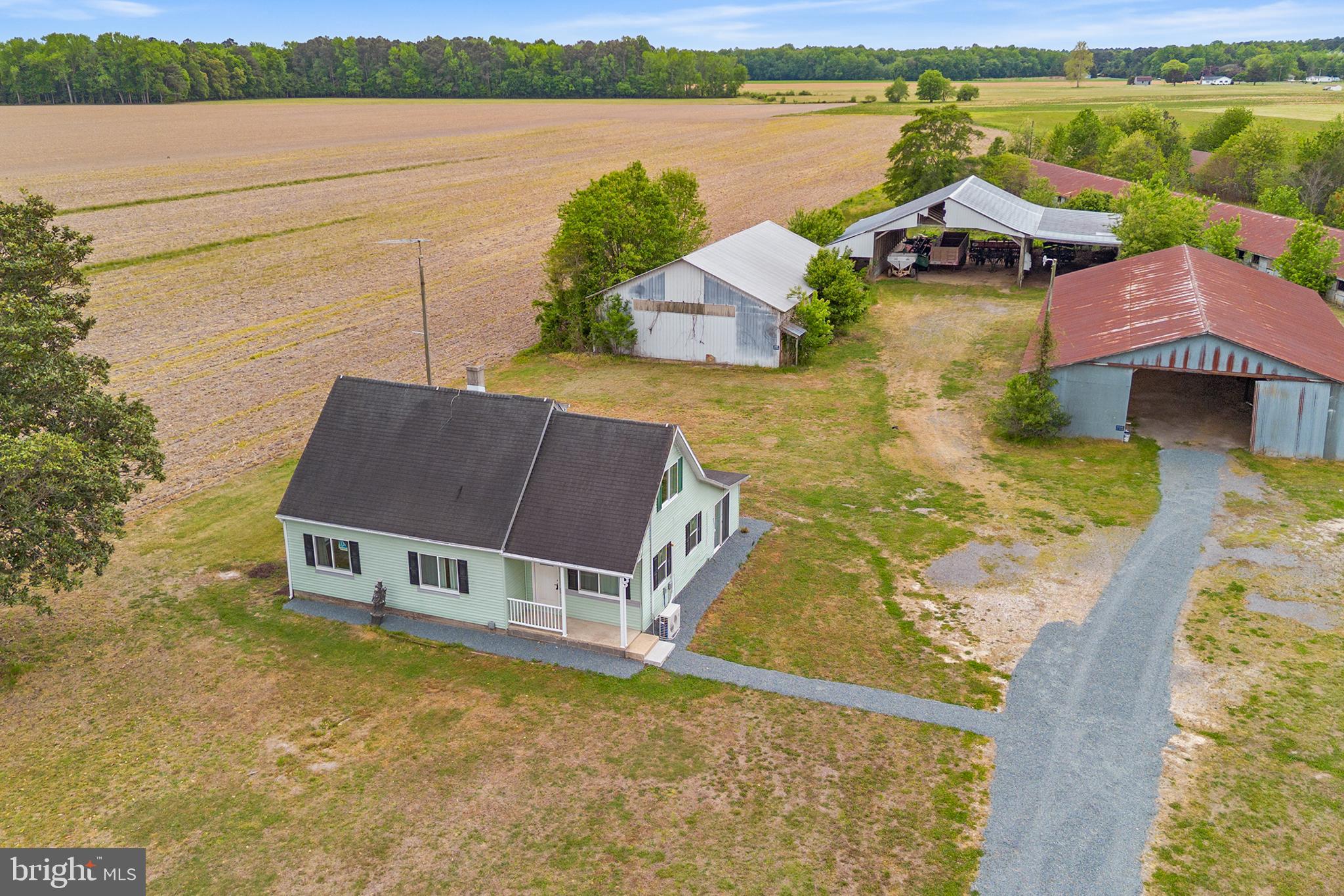 25699 Auction Road Federalsburg, MD 21632 - Photo 37 of 46