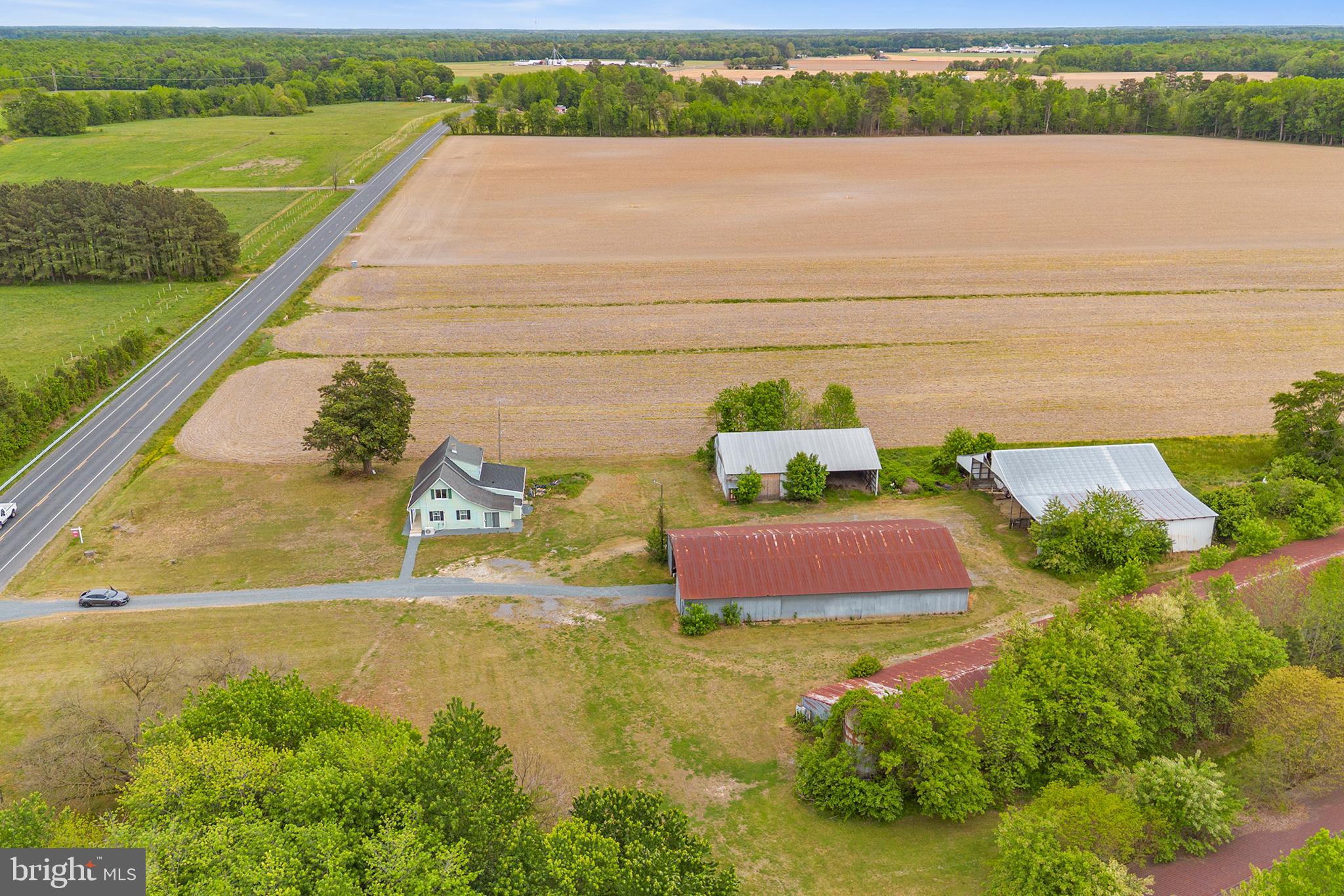 25699 Auction Road Federalsburg, MD 21632 - Photo 38 of 46