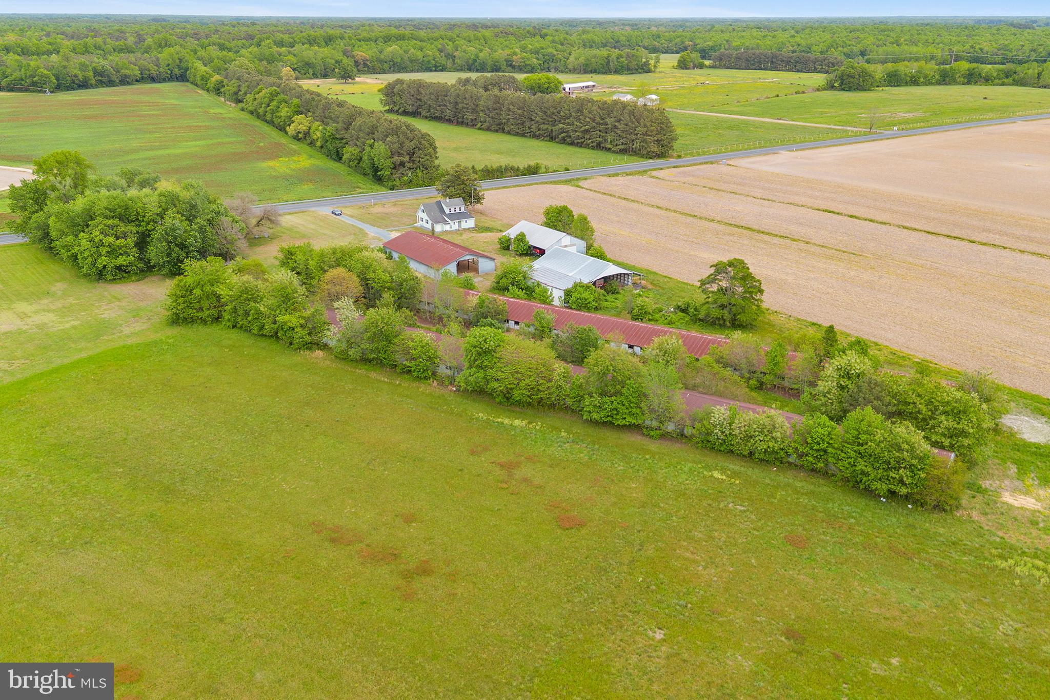 25699 Auction Road Federalsburg, MD 21632 - Photo 39 of 46
