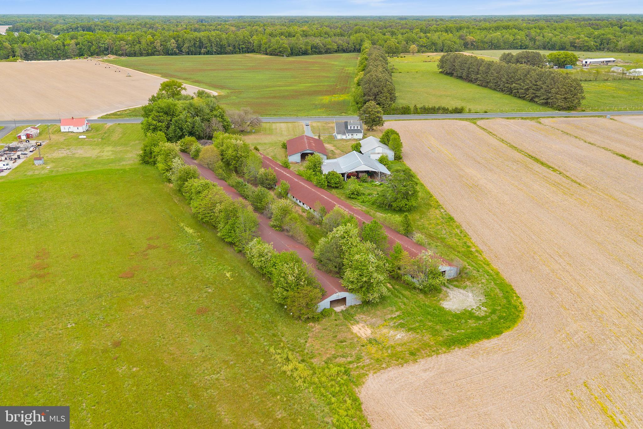 25699 Auction Road Federalsburg, MD 21632 - Photo 40 of 46
