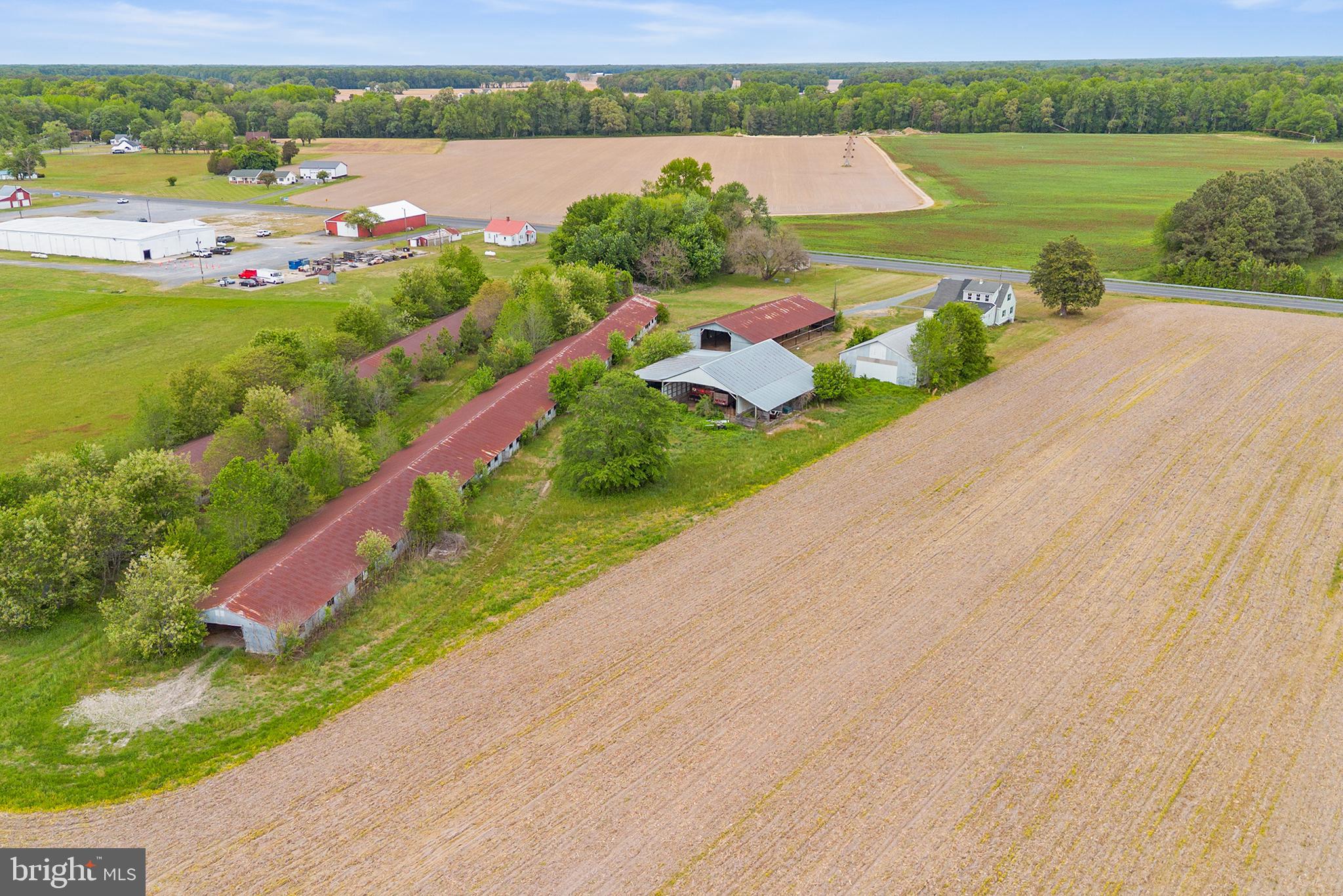 25699 Auction Road Federalsburg, MD 21632 - Photo 41 of 46