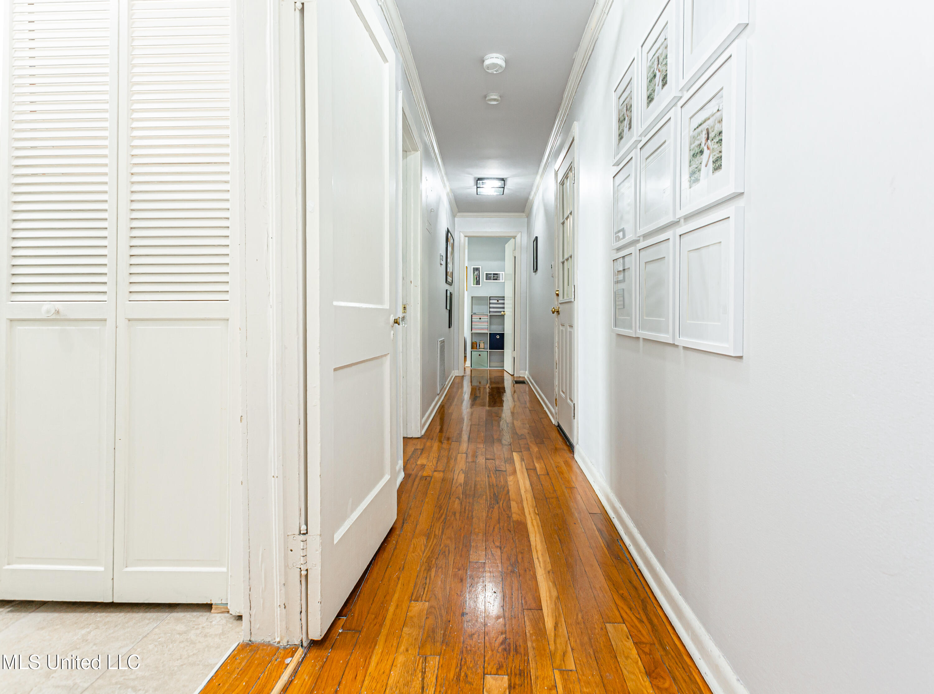 1710 Pine Street Jackson, MS 39202 - Photo 15 of 35 V63A6185