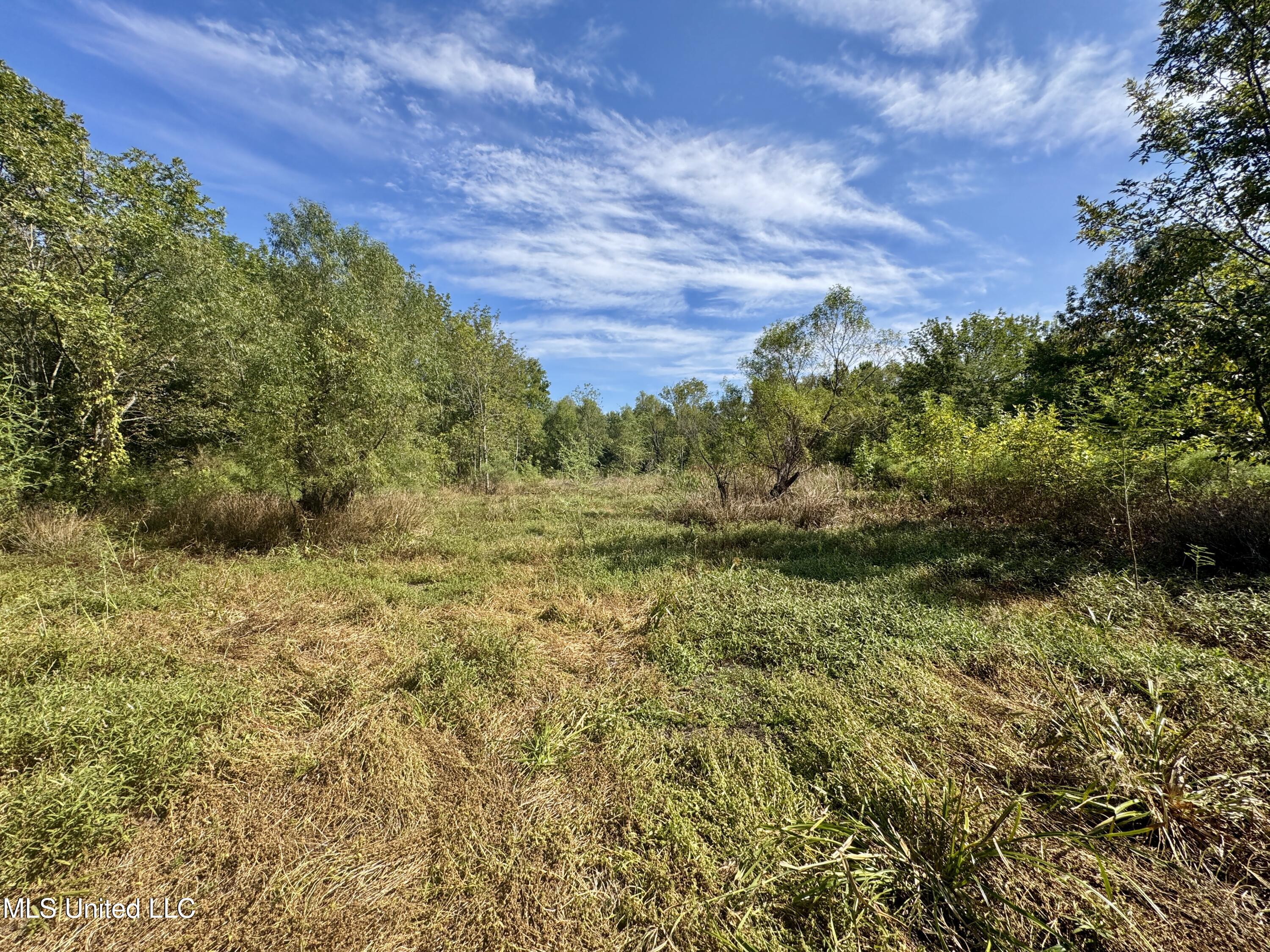 32 Highway 32 Charleston, MS 38921 - Photo 11 of 36 IMG_4284