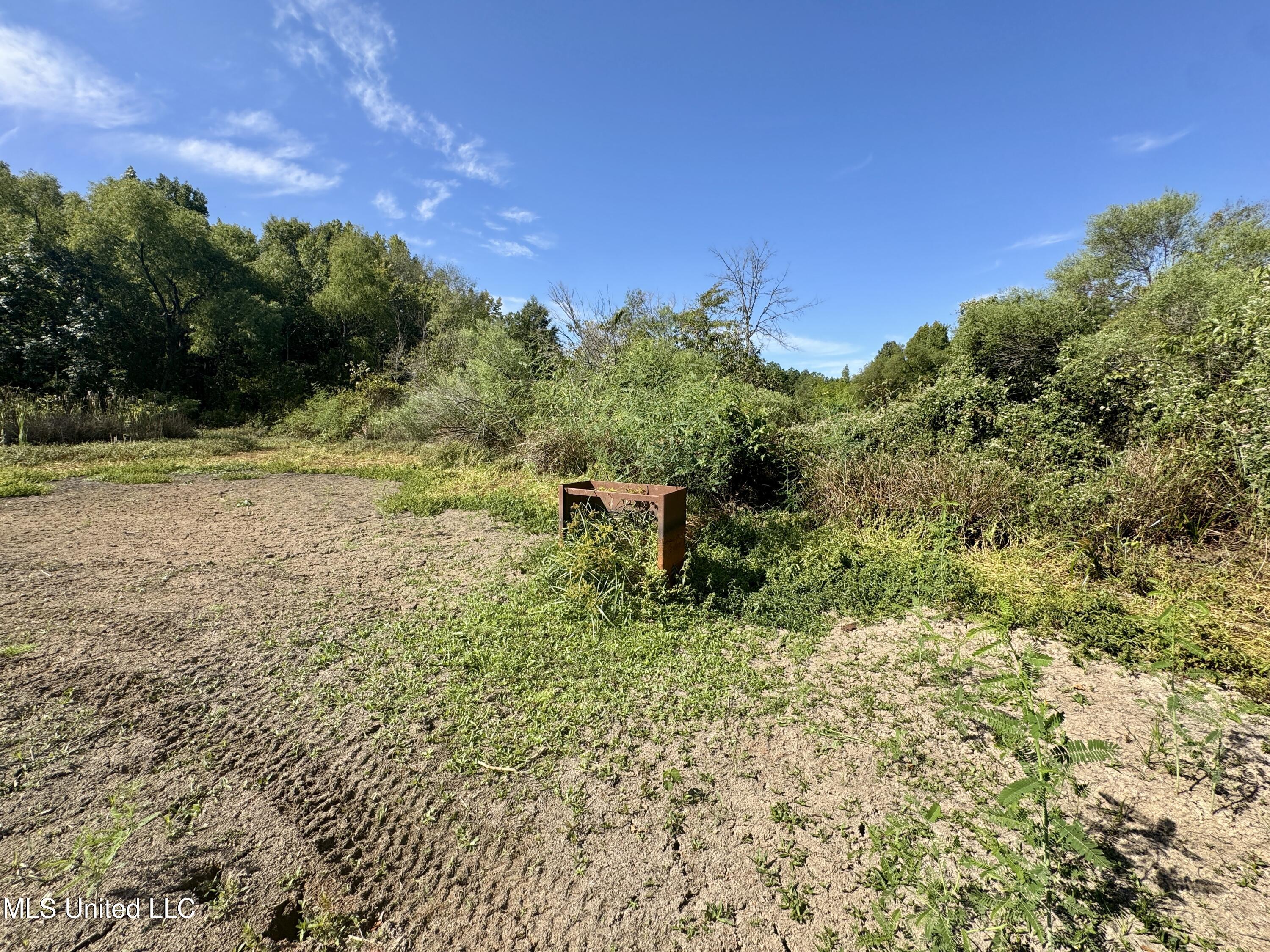 32 Highway 32 Charleston, MS 38921 - Photo 12 of 36 IMG_4285