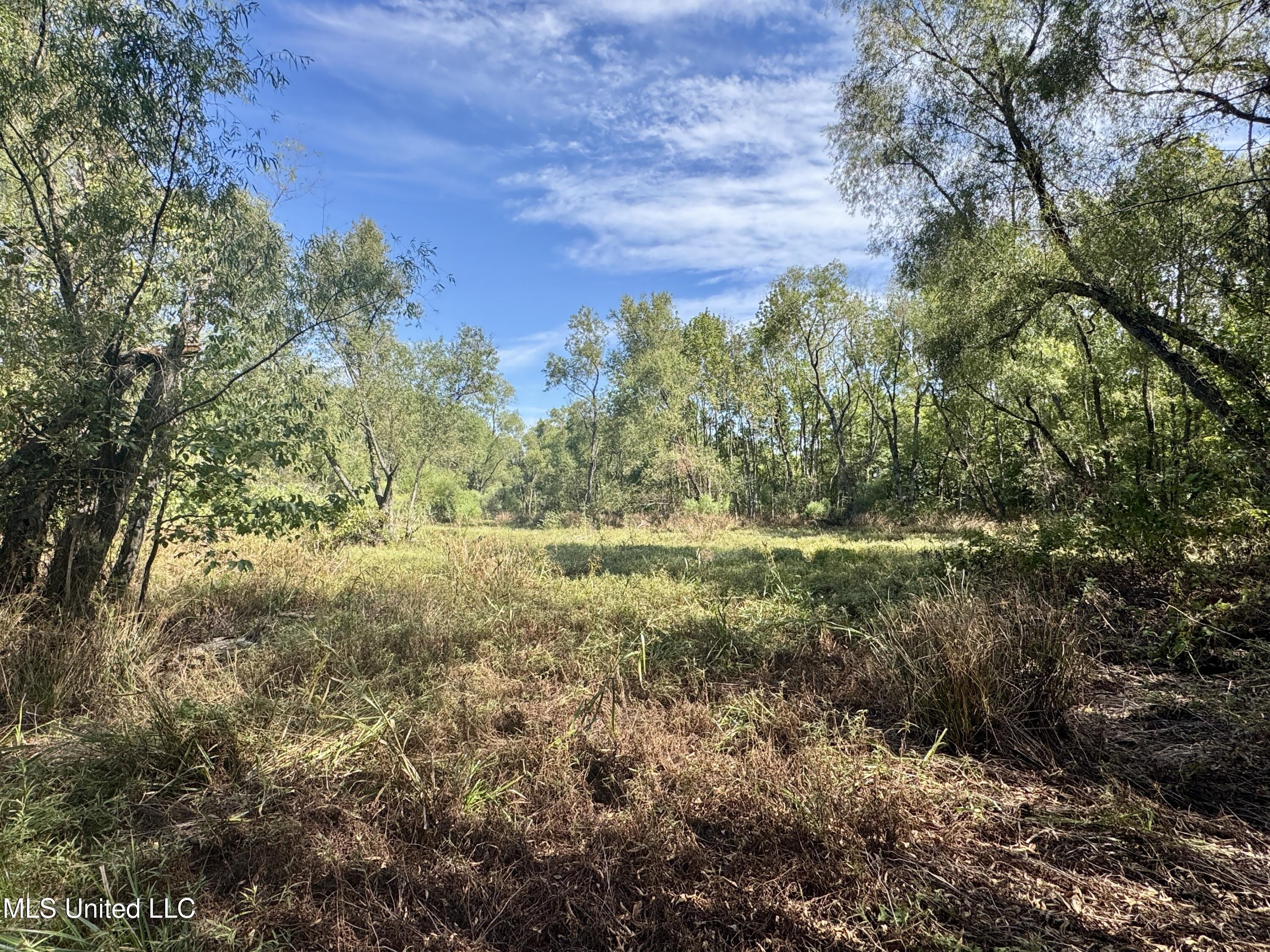32 Highway 32 Charleston, MS 38921 - Photo 13 of 36 IMG_4286