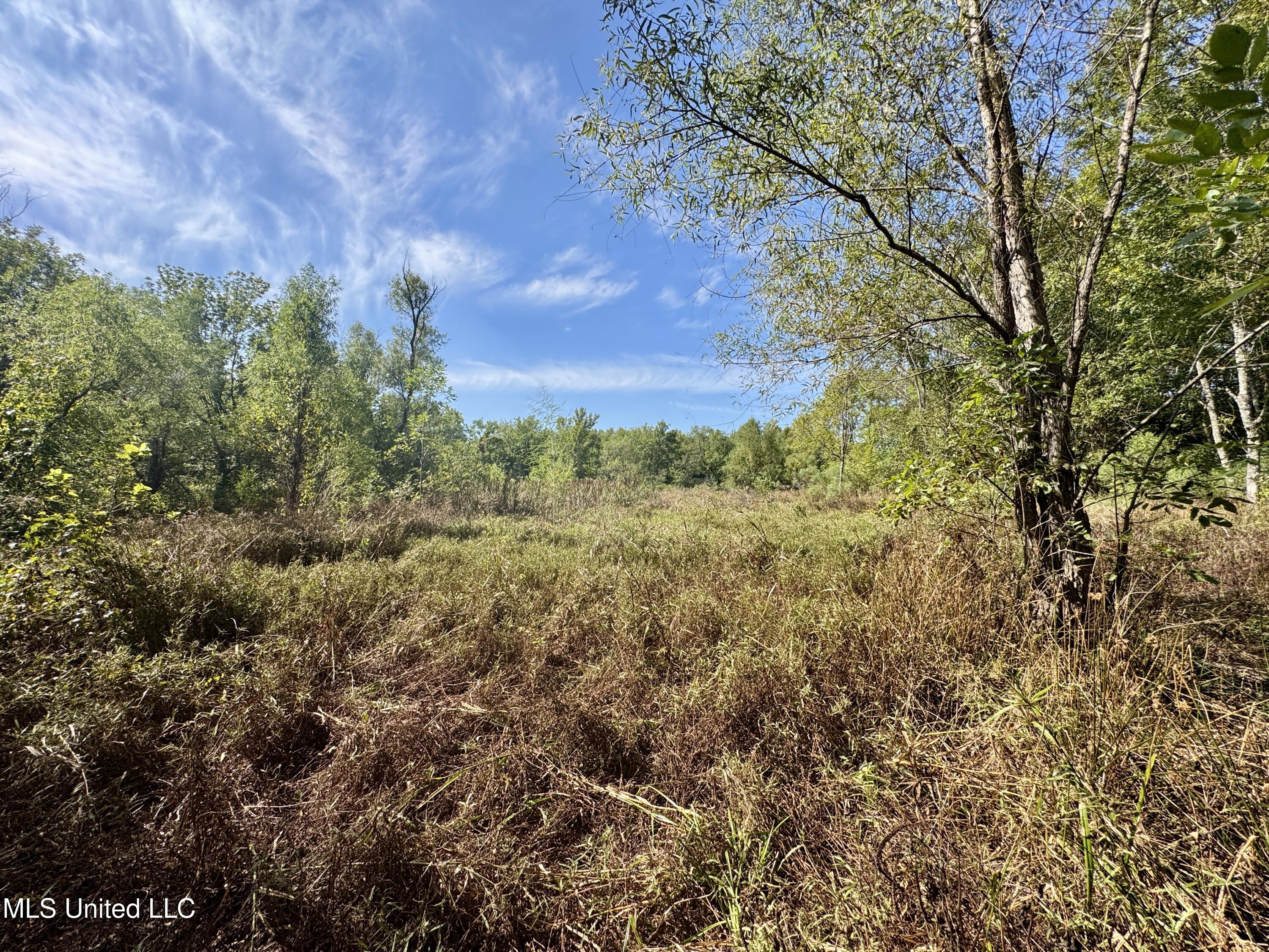 32 Highway 32 Charleston, MS 38921 - Photo 14 of 36 IMG_4287