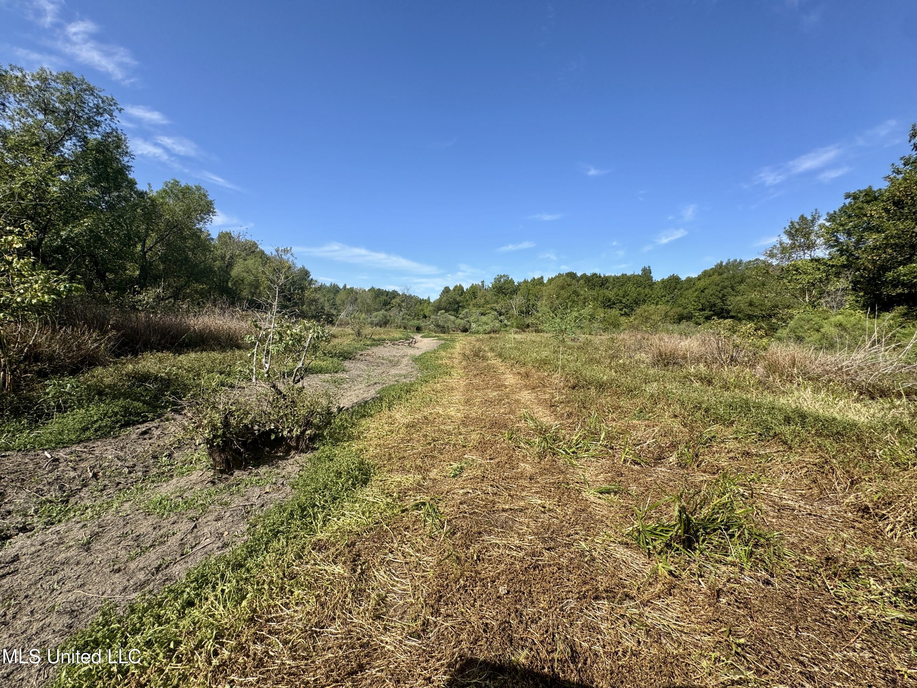 32 Highway 32 Charleston, MS 38921 - Photo 15 of 36 IMG_4288