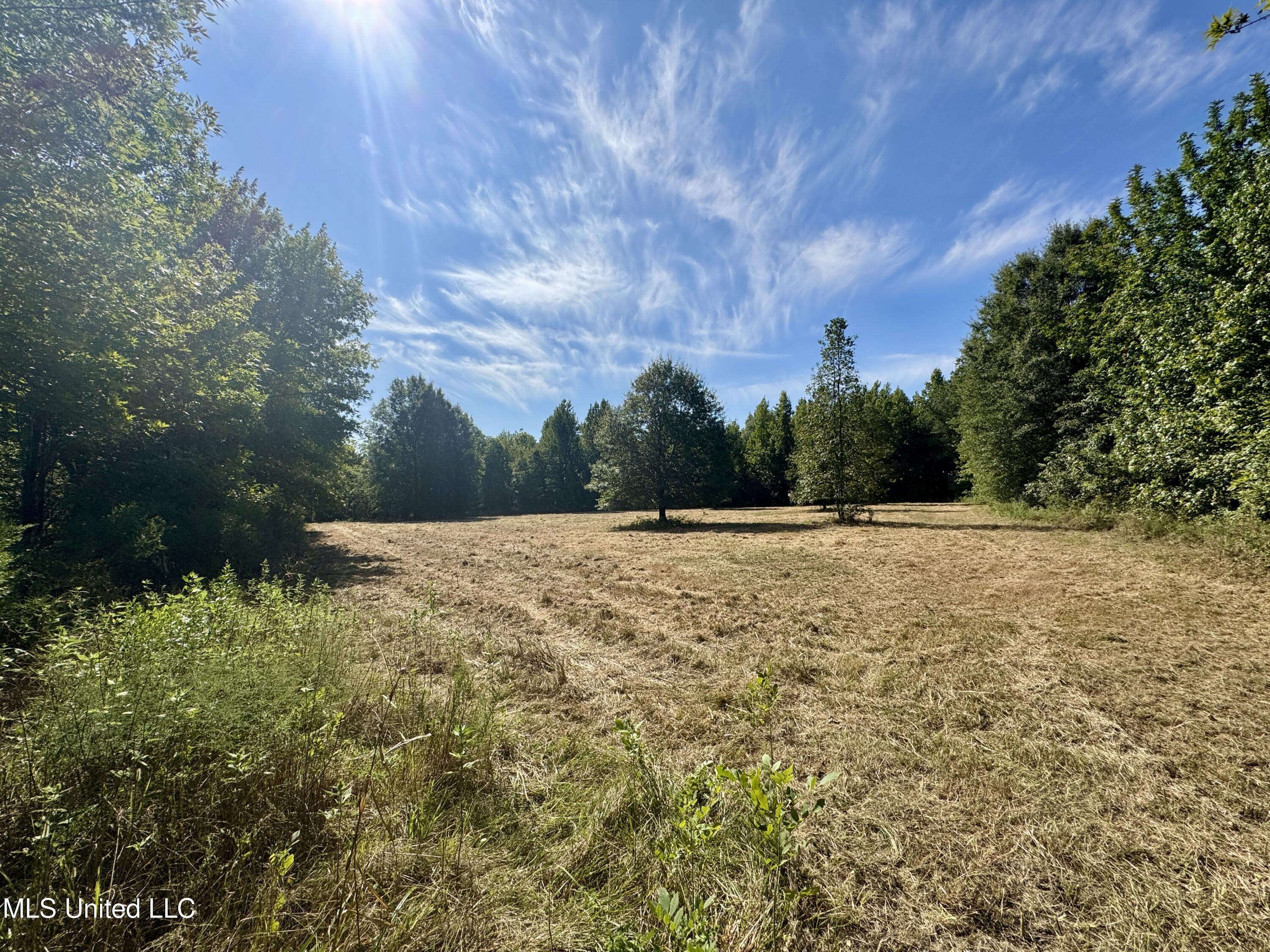 32 Highway 32 Charleston, MS 38921 - Photo 17 of 36 IMG_4290