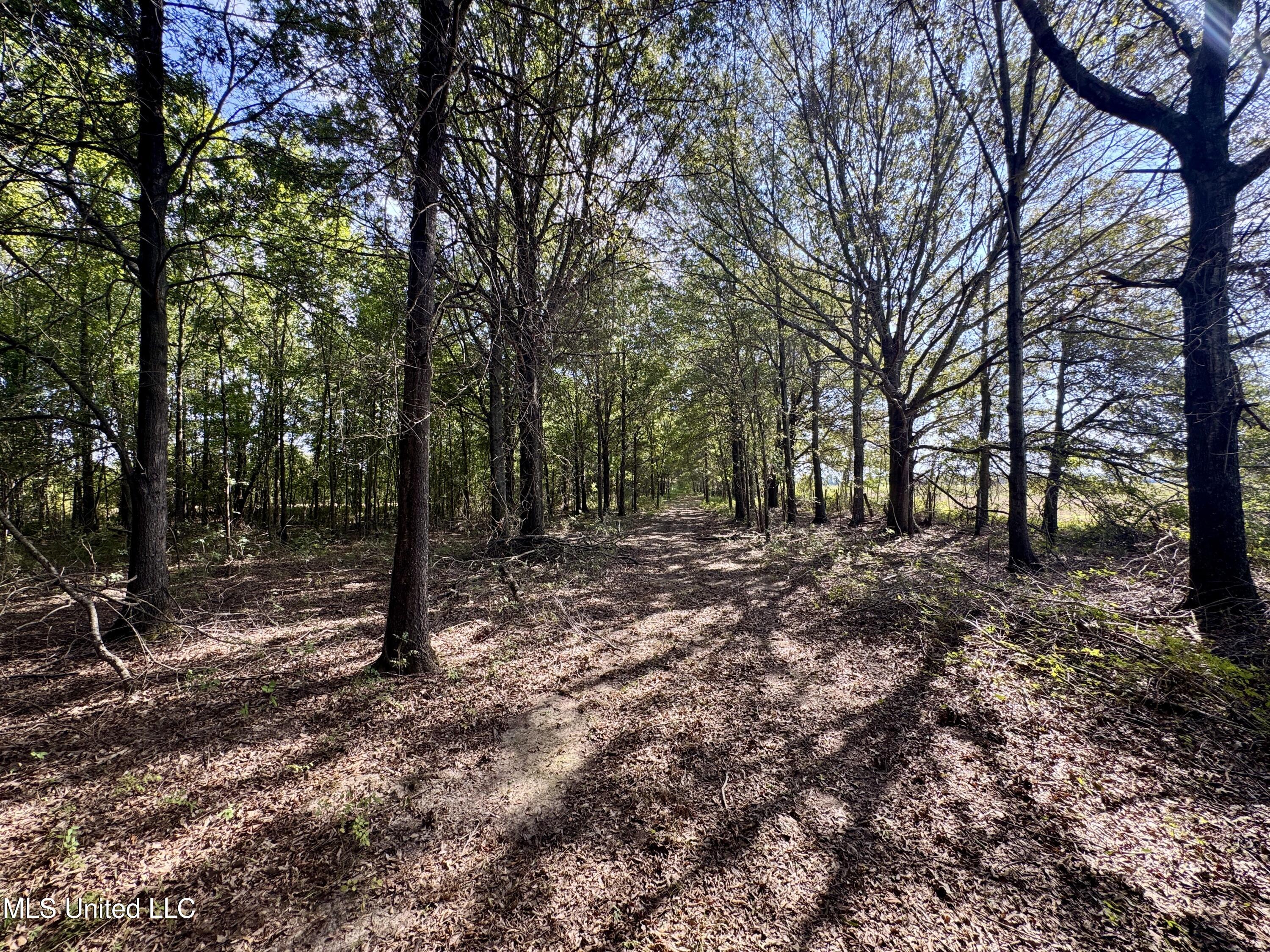 32 Highway 32 Charleston, MS 38921 - Photo 18 of 36 IMG_4291