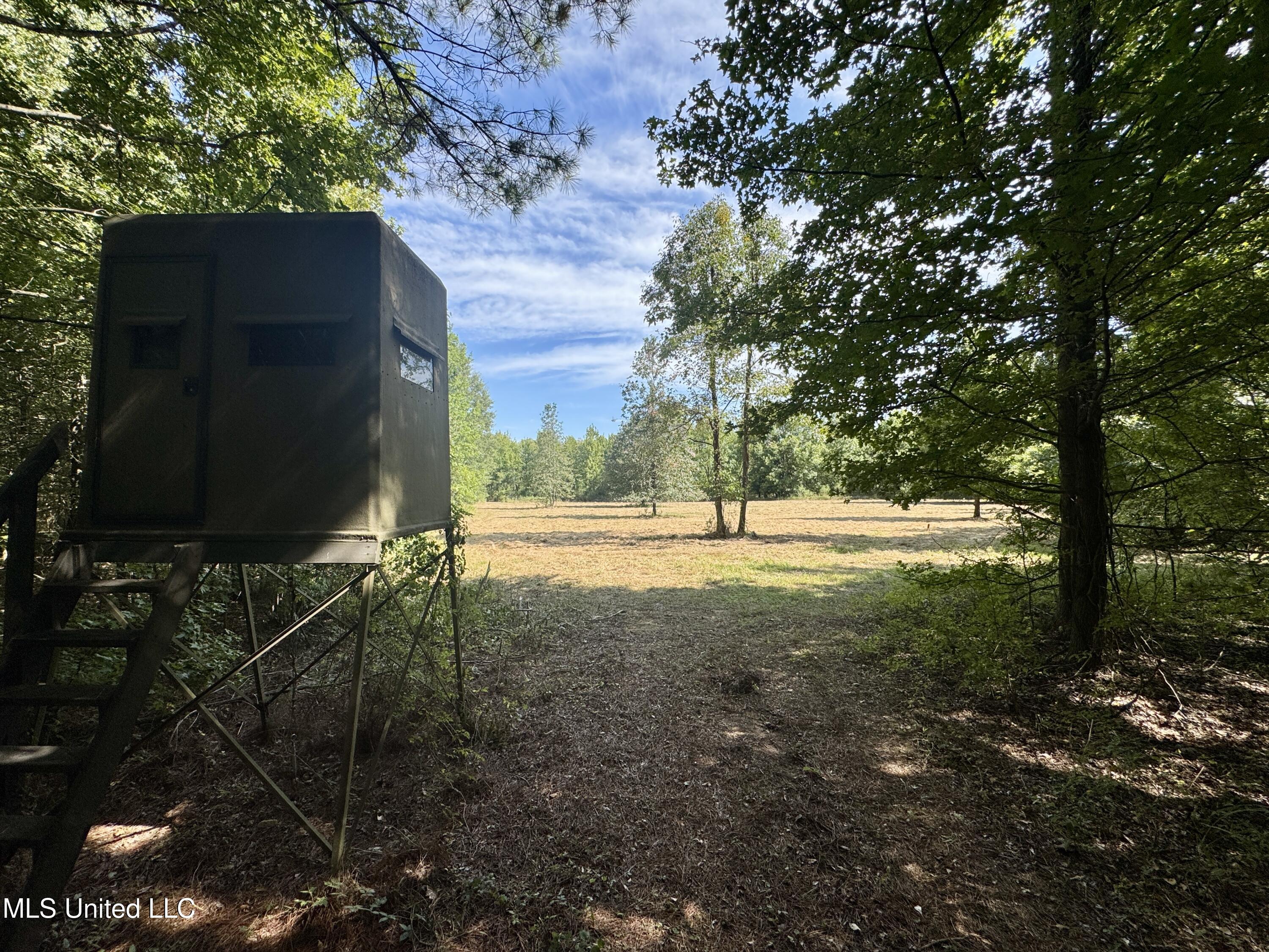 32 Highway 32 Charleston, MS 38921 - Photo 20 of 36 IMG_4293