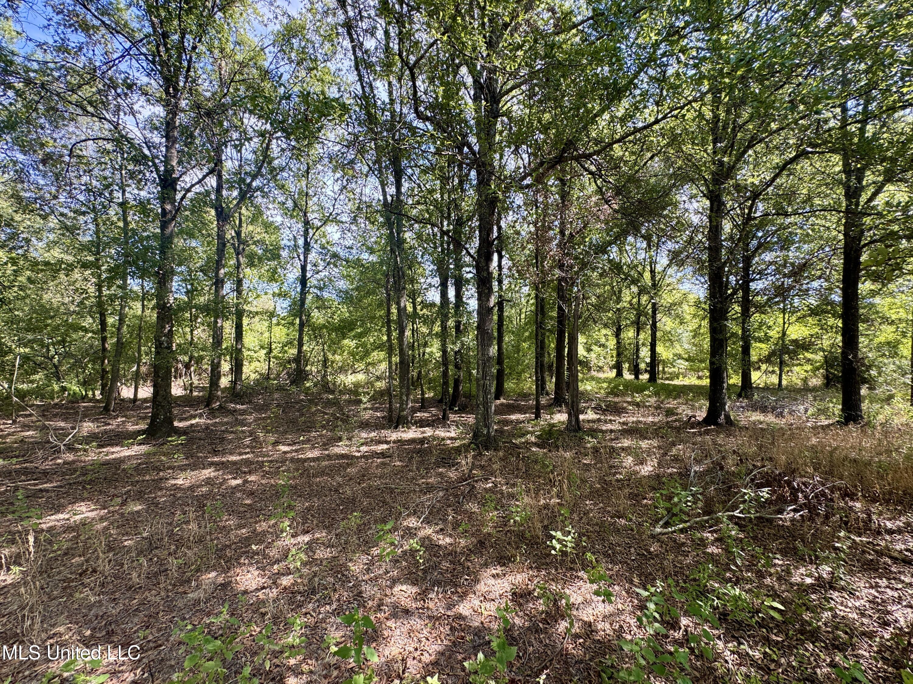 32 Highway 32 Charleston, MS 38921 - Photo 22 of 36 IMG_4295