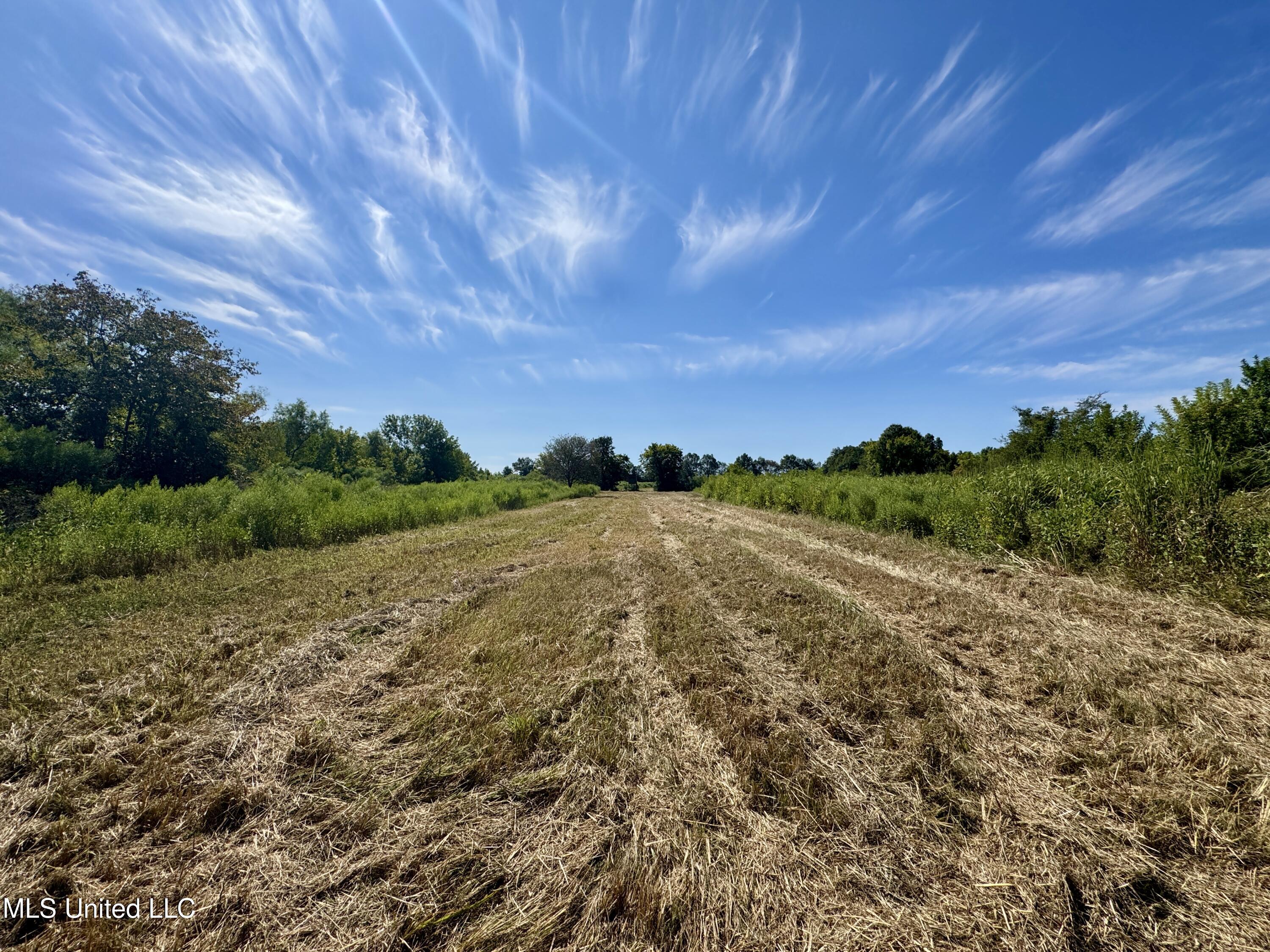 32 Highway 32 Charleston, MS 38921 - Photo 24 of 36 IMG_4298