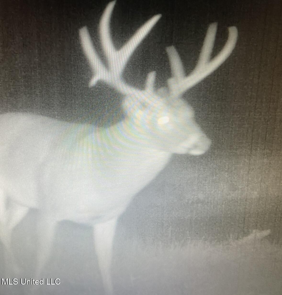 32 Highway 32 Charleston, MS 38921 - Photo 28 of 36 IMG_4256