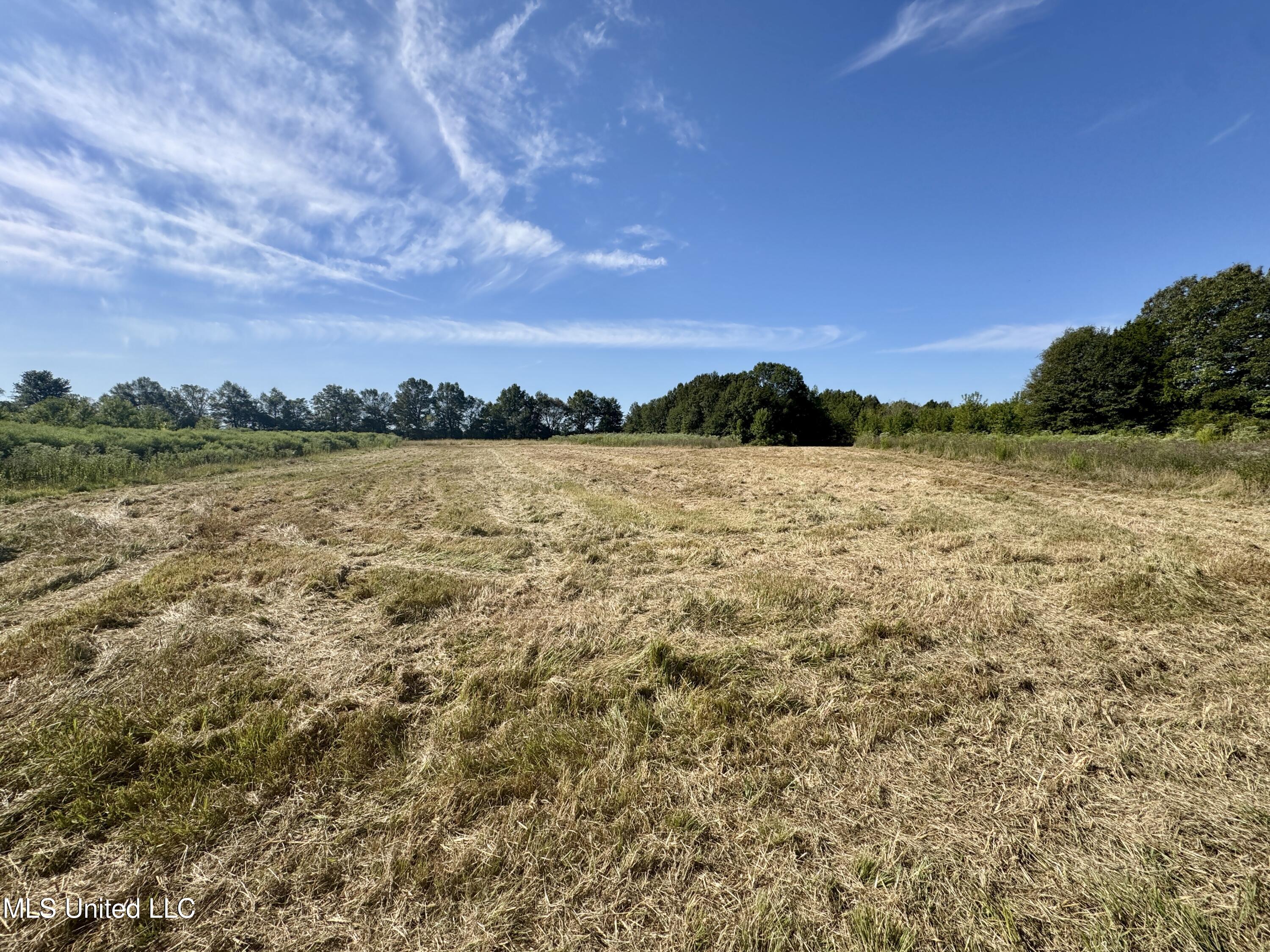 32 Highway 32 Charleston, MS 38921 - Photo 3 of 36 IMG_4276