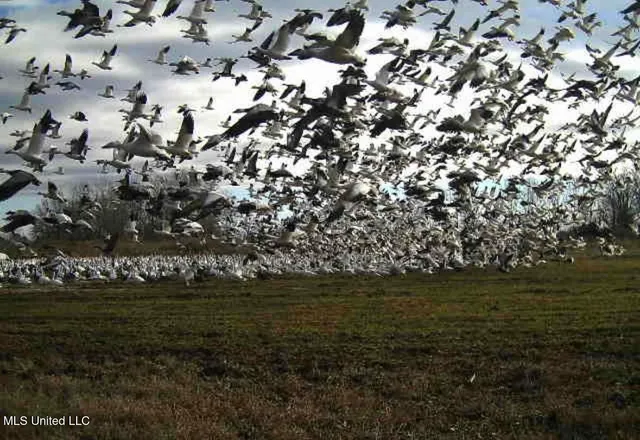 $345,000 | 32 Highway 32, Charleston, MS 38921