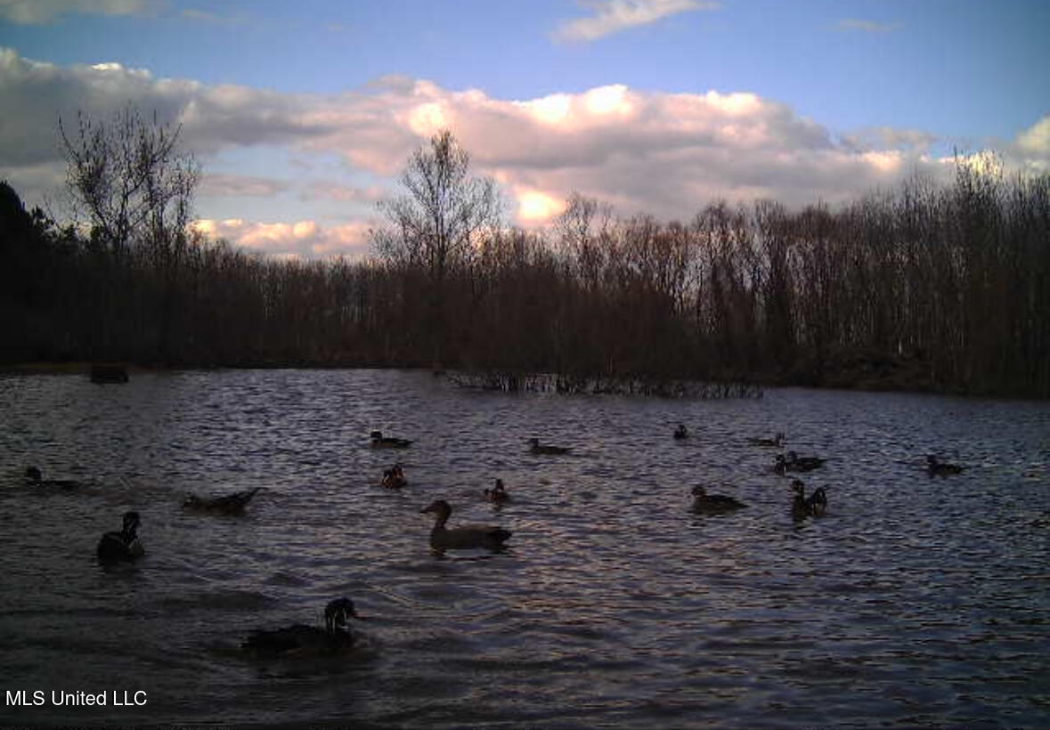 32 Highway 32 Charleston, MS 38921 - Photo 34 of 36 IMG_4267